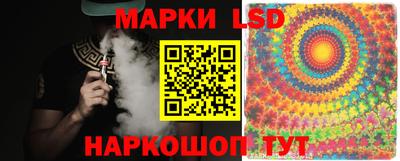 индика Кингисепп