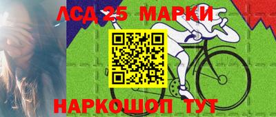 индика Кингисепп