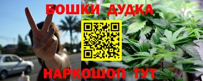 индика Кингисепп