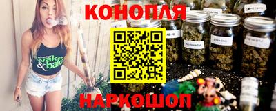 индика Кингисепп
