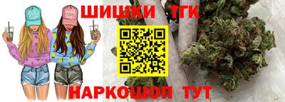 индика Кингисепп