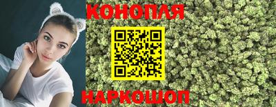 индика Кингисепп