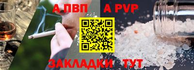 индика Кингисепп