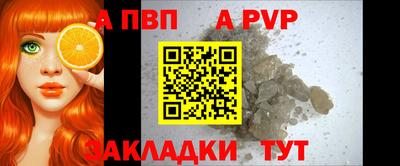 индика Кингисепп
