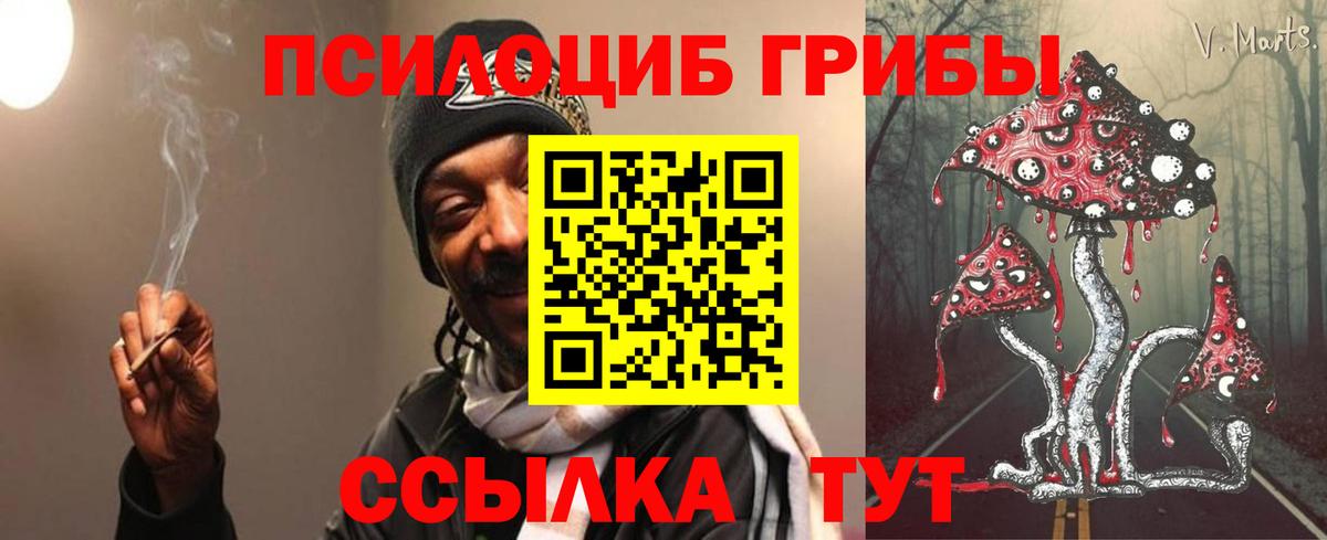 Галлюциногенные грибы Psilocybe Кудрово